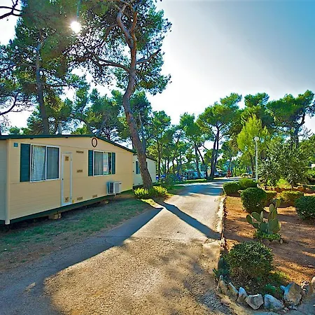 Arena Indije Mobile Homes 4*