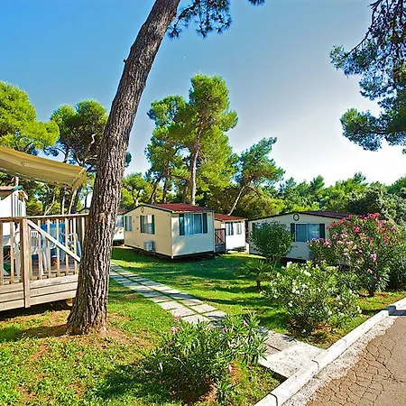 Arena Indije Mobile Homes