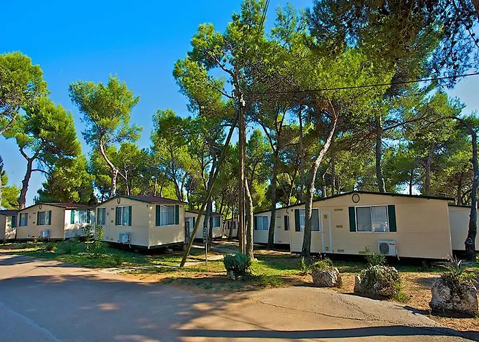 Arena Indije Mobile Homes 홀리데이파크