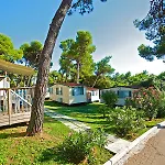 Arena Indije Mobile Homes