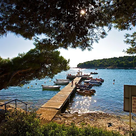 Arena Indije Mobile Homes 假日公园