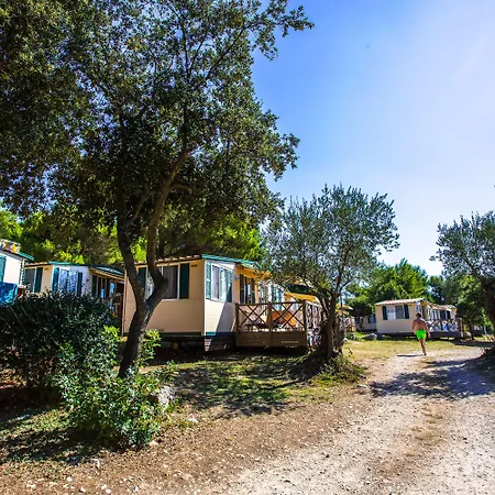 Arena Indije Mobile Homes 班约勒