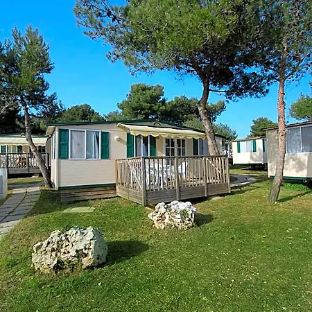 Arena Indije Mobile Homes バニョレ