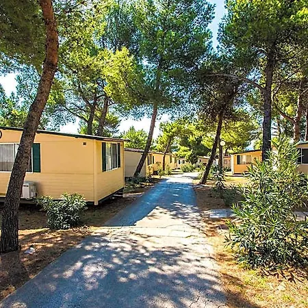 Arena Indije Mobile Homes بنجول
