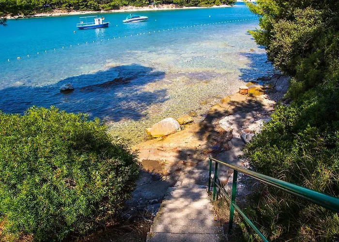 Arena Indije Mobile Homes 4* 반졸레